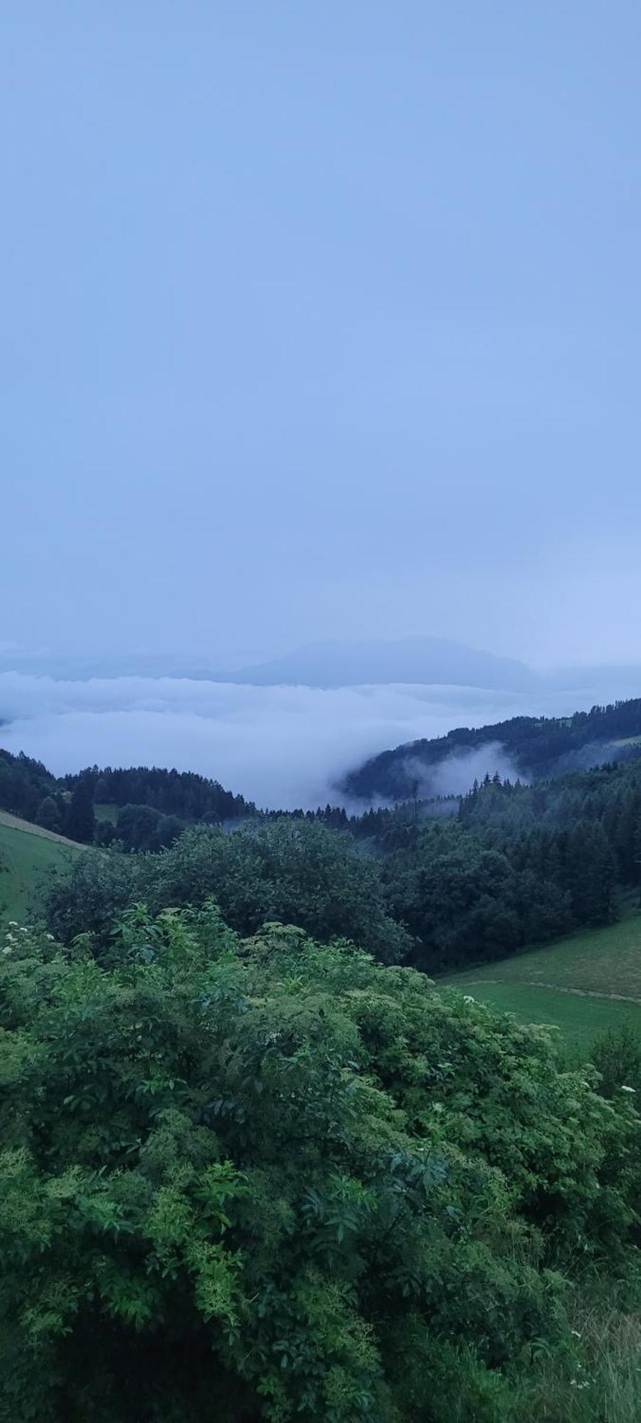 Gasthof Machwirth Griffen Экстерьер фото