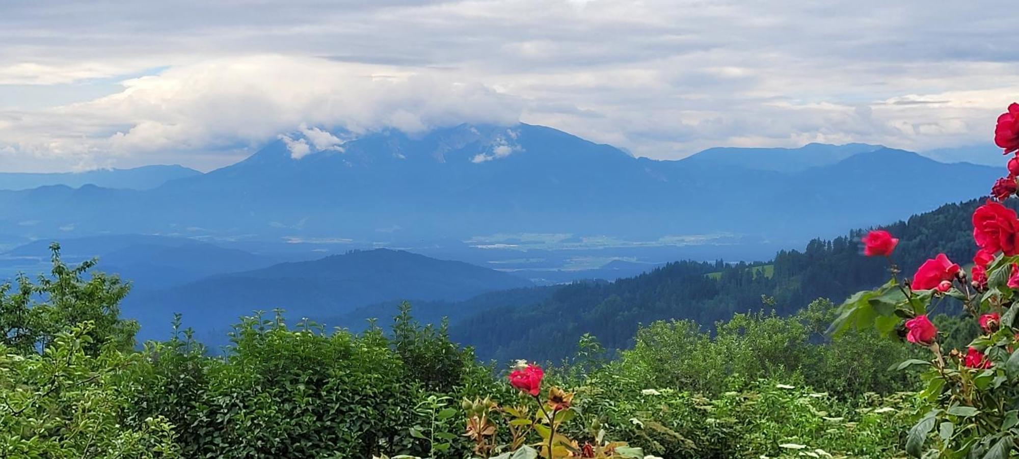 Gasthof Machwirth Griffen Экстерьер фото